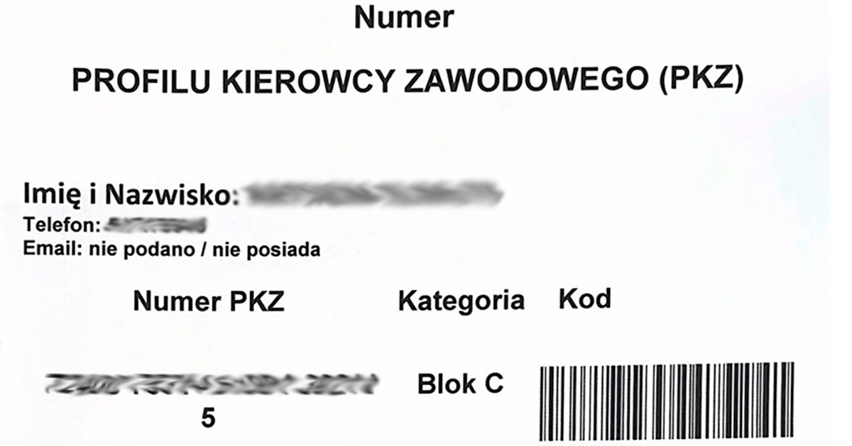 код 95 профиль PKZ